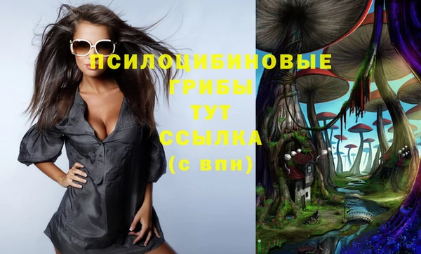 стафф Балахна