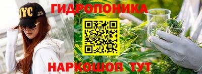 амф Обнинск