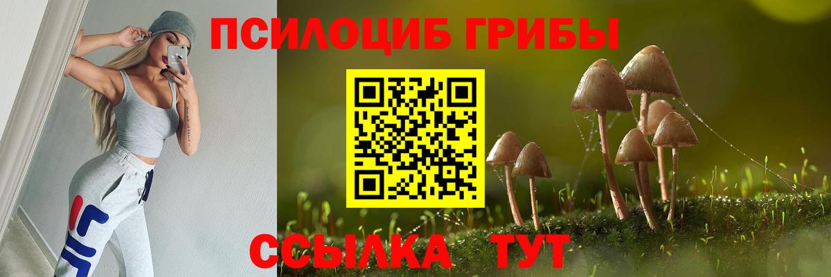 Псилоцибиновые грибы прущие грибы  Вход с VPN  Унеча 