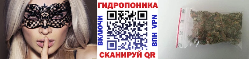 mega tor  магазин продажи наркотиков  Унеча  Канабис тримм 